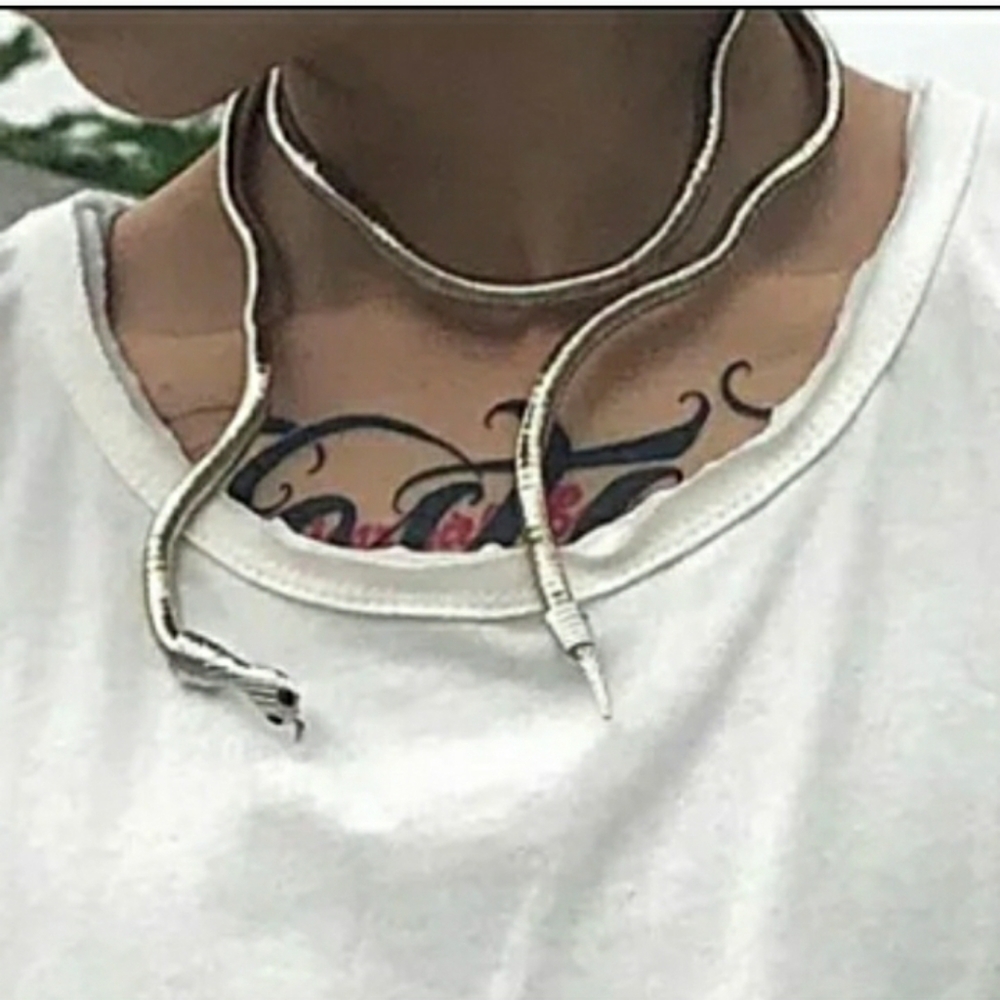 Snake Accessory - Picture 6 of 12